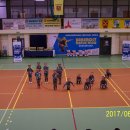 fest 40